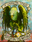 Blog icon